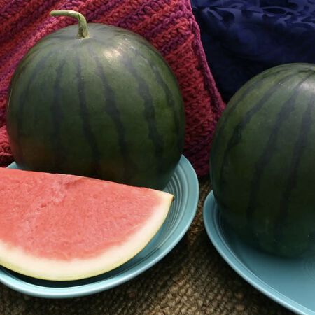 Sorbet, (F1) Watermelon Seeds - Packet image number null